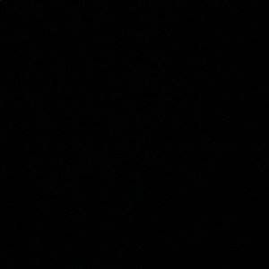 Meet your Posher, Delaney